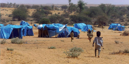 Campo di profughi del Mali accolti in Niger.  Caritas Internationalis